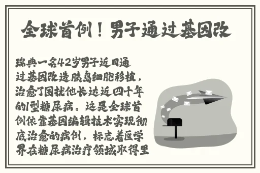 国内精品视频久久久